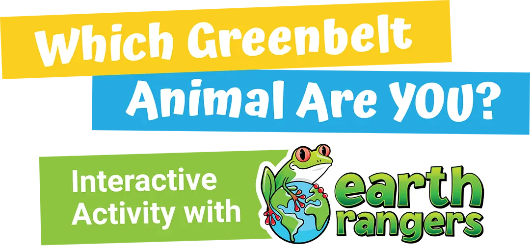 Which Greenbelt Animal Are You? Interactive Activity with earth rangers