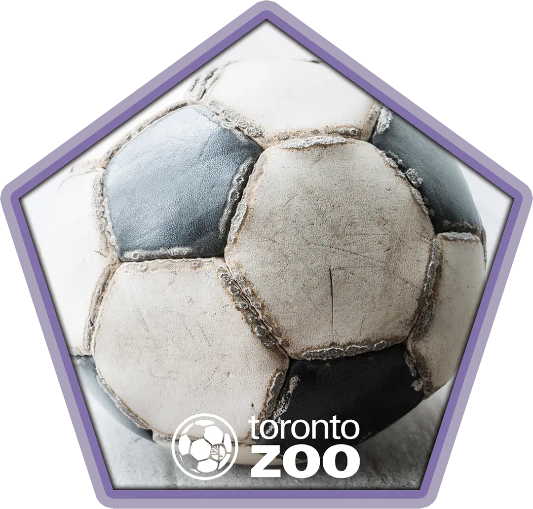 A worn out old soccer ball