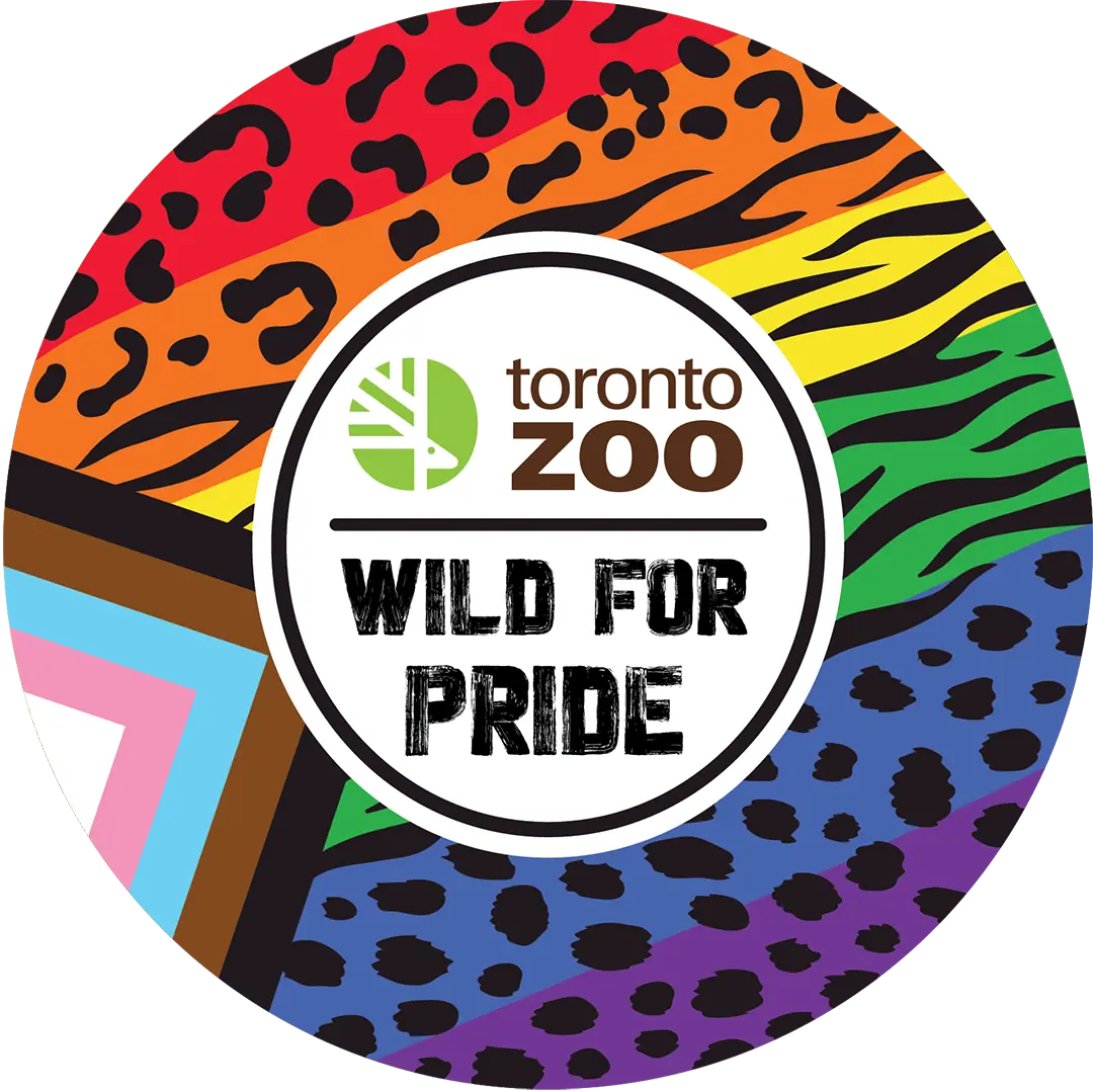 Toronto Zoo- WILD FOR PRIDE