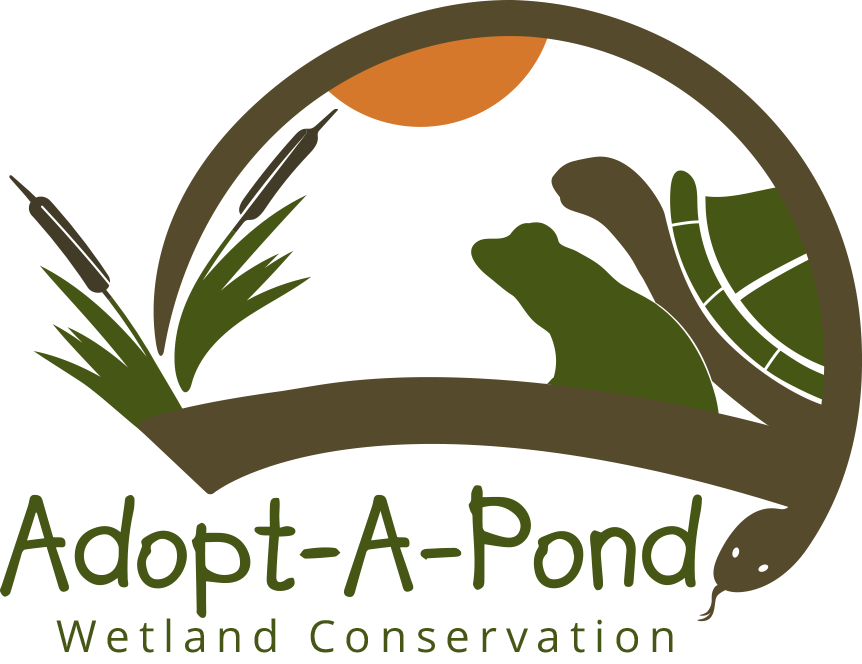 Adopt-A-Pond Wetland Conservation