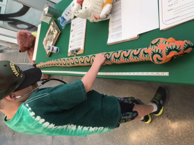 Child holds a stethoscope up to a model toy snake